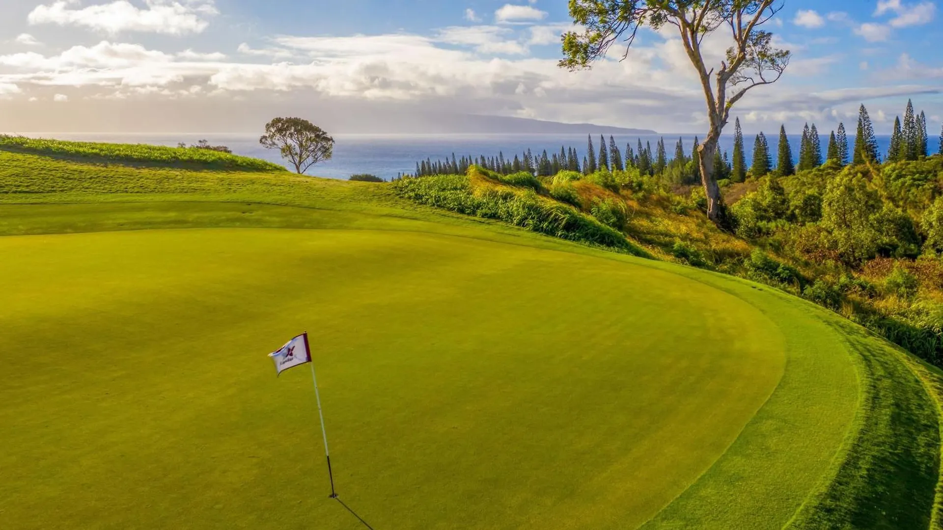 ***** Feriested The Ritz-Carlton Maui, Kapalua Hotel Lahaina USA